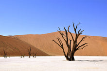 Load image into Gallery viewer, Metal Print 18" x 12" (landscape)